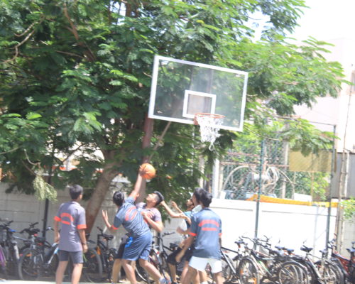 IMG_3740 IMG_3740