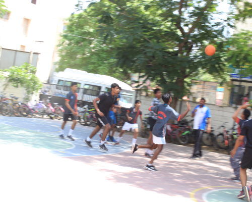 IMG_3768 IMG_3768